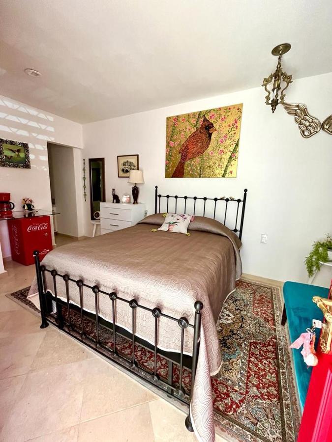 Small Pet Friendly, Pool And Gym Apartment San Miguel de Allende Eksteriør billede