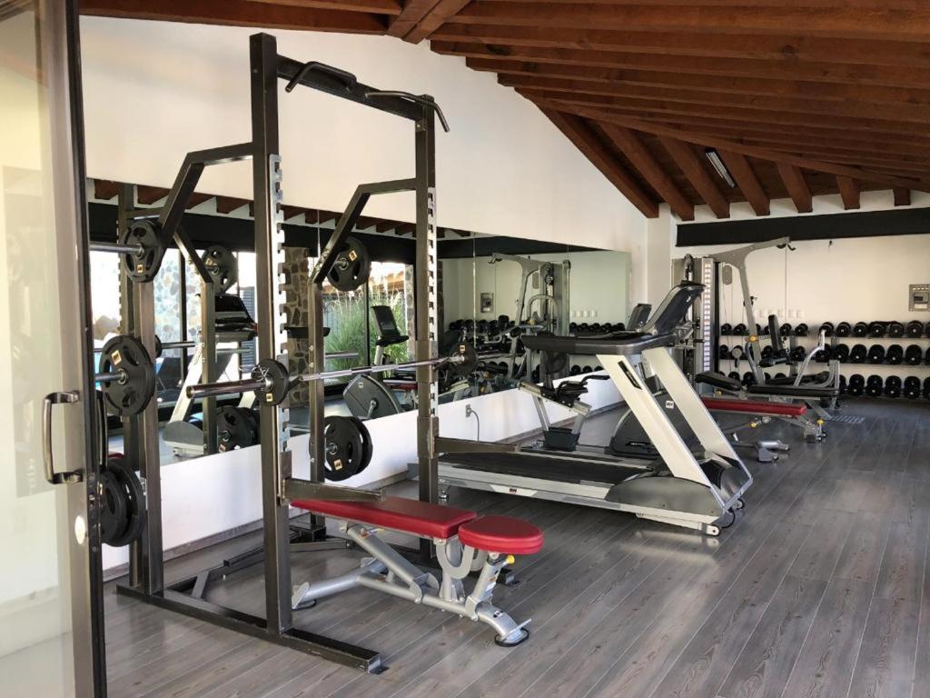 Small Pet Friendly, Pool And Gym Apartment San Miguel de Allende Eksteriør billede