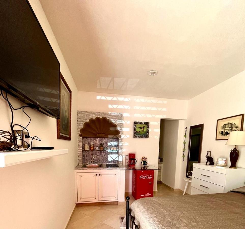 Small Pet Friendly, Pool And Gym Apartment San Miguel de Allende Eksteriør billede