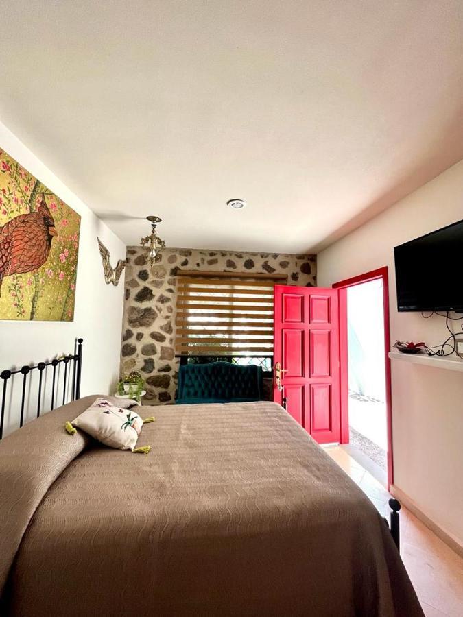 Small Pet Friendly, Pool And Gym Apartment San Miguel de Allende Eksteriør billede